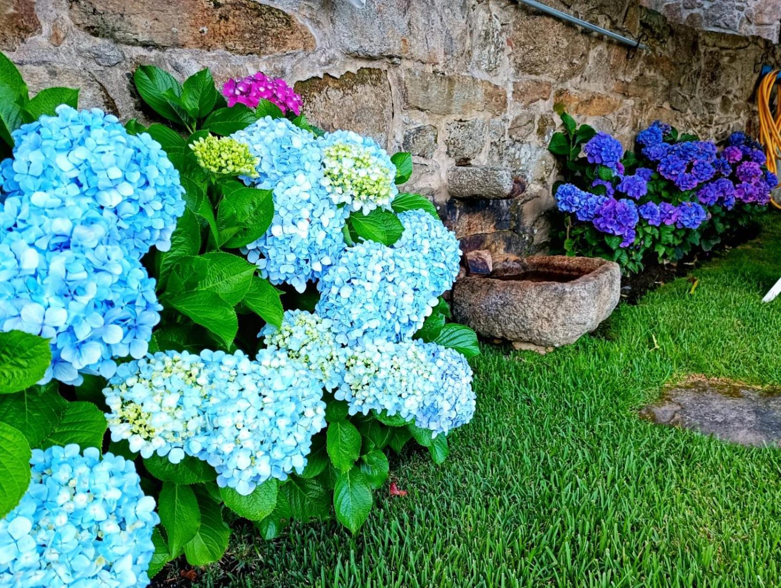 Remanso Azul Villa Moaña Dış mekan fotoğraf
