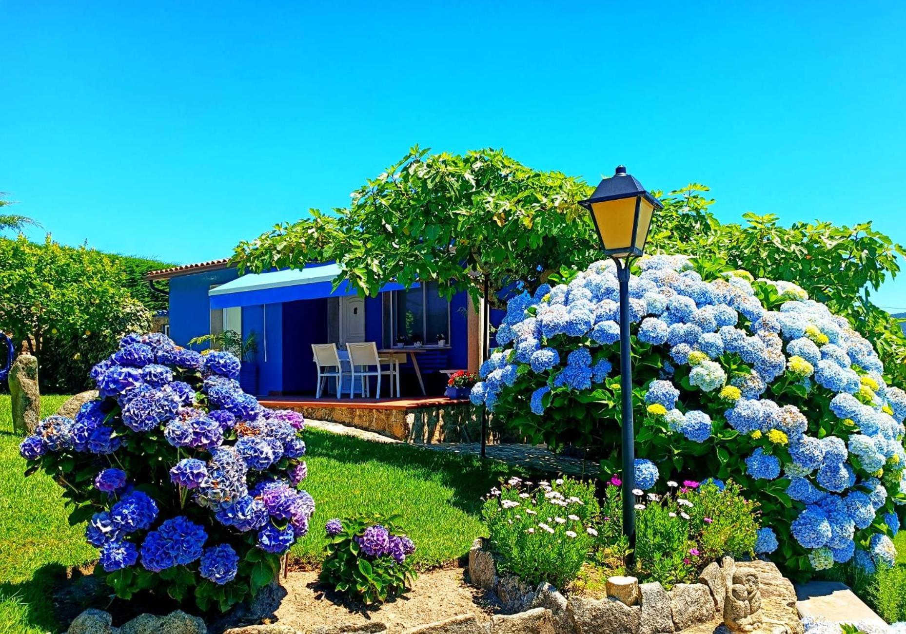 Remanso Azul Villa Moaña Dış mekan fotoğraf